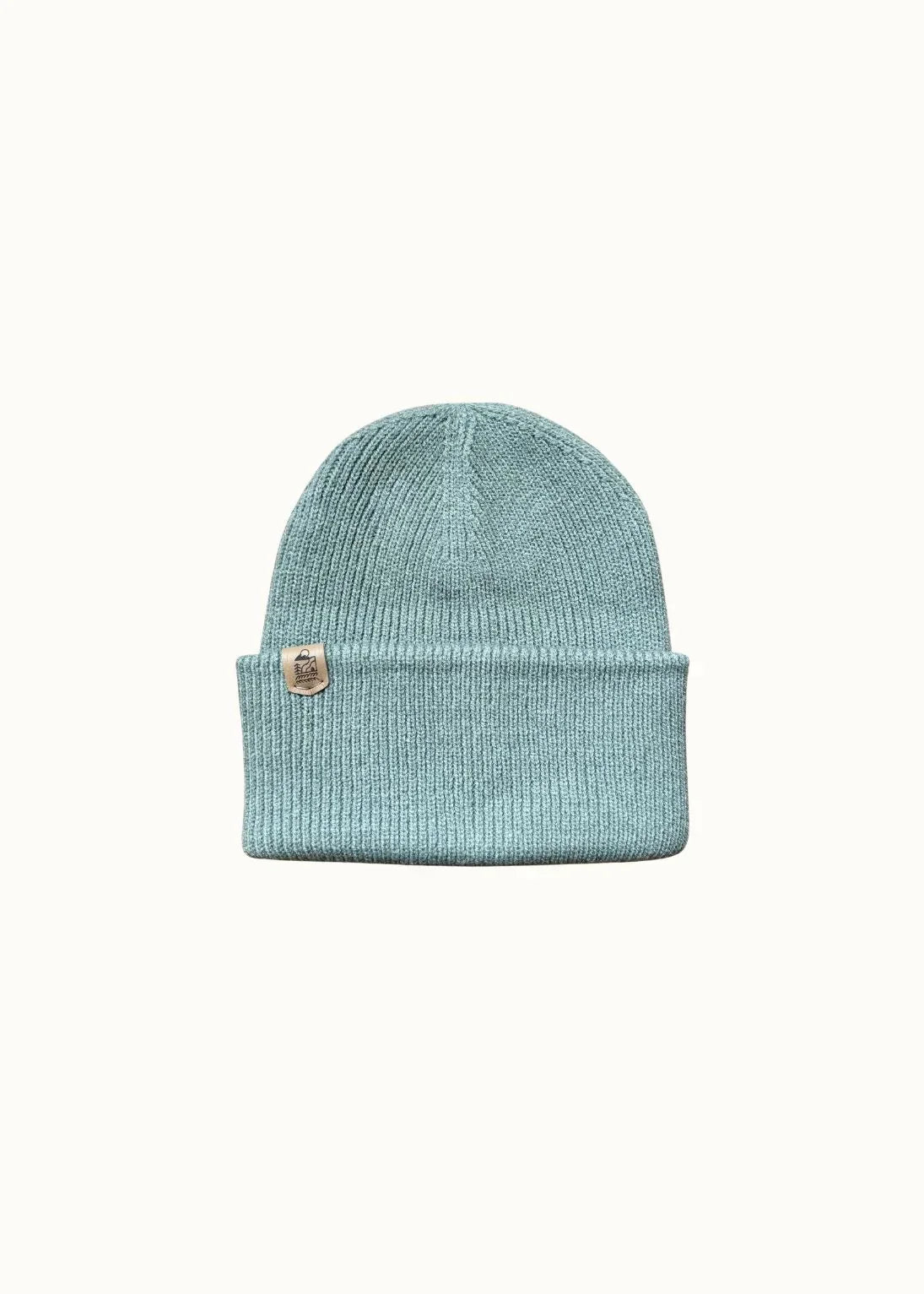 Super Soft Recycled Beanie Hat in Aloe Green