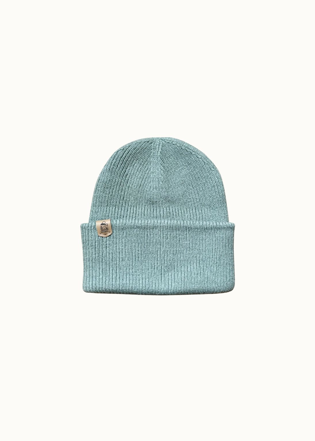 Super Soft Recycled Beanie Hat in Aloe Green